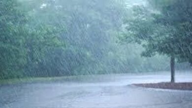 प्रदेश में अब तक 1068.9 मि.मी. औसत वर्षा दर्ज
