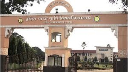 इंदिरा गांधी कृषि विश्वविद्यालय और महात्मा गांधी उद्यानिकी विश्वविद्यालय में नए कुलसचिव की नियुक्ति इंदिरा गांधी कृषि विश्वविद्यालय और महात्मा गांधी उद्यानिकी विश्वविद्यालय में नए कुलसचिव की नियुक्ति
