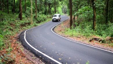 बस्तर की सुदूर बसाहटें अब मुख्यधारा से जुड़ीं, पीएमजीएसवाई ने बदली तस्वीर बस्तर की सुदूर बसाहटें अब मुख्यधारा से जुड़ीं, पीएमजीएसवाई ने बदली तस्वीर
