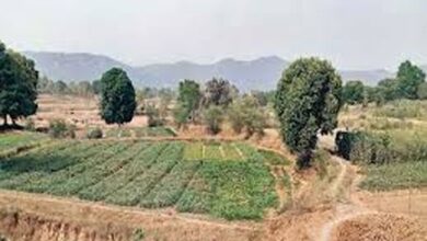 ईब व्यपवर्तन योजना के कार्यों के लिए 37 करोड़ रूपए से अधिक स्वीकृत ईब व्यपवर्तन योजना के कार्यों के लिए 37 करोड़ रूपए से अधिक स्वीकृत