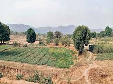 ईब व्यपवर्तन योजना के कार्यों के लिए 37 करोड़ रूपए से अधिक स्वीकृत ईब व्यपवर्तन योजना के कार्यों के लिए 37 करोड़ रूपए से अधिक स्वीकृत