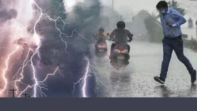 दक्षिण छत्तीसगढ़ पर पड़ेगा मोंथा तूफान का असर दक्षिण छत्तीसगढ़ पर पड़ेगा मोंथा तूफान का असर