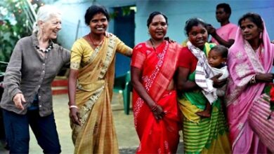 मुख्यमंत्री विष्णुदेव साय की पहल से पर्यटन के अंतर्राष्ट्रीय पटल पर उभर रहा है जशपुर मुख्यमंत्री विष्णुदेव साय की पहल से पर्यटन के अंतर्राष्ट्रीय पटल पर उभर रहा है जशपुर