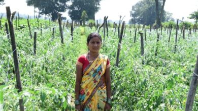 बिहान योजना से आत्मनिर्भरता की मिसाल बनीं शकुन्तला शार्दुल : सुक्ष्म सिंचाई के साधन का उपयोग कर आय बढ़ा रही है