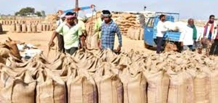 प्रदेश के सभी किसानों को धान खरीदी केंद्र में दी जा रही है सभी बुनियादी सुविधाएं प्रदेश के सभी किसानों को धान खरीदी केंद्र में दी जा रही है सभी बुनियादी सुविधाएं