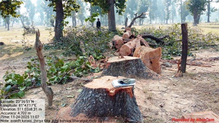 ग्राम जोलगी में बिना अनुमति काटे गए साल वृक्ष जब्त ग्राम जोलगी में बिना अनुमति काटे गए साल वृक्ष जब्त
