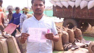 धान खरीदी किसान हित में 3100 रुपए प्रति क्विंटल की दर पर