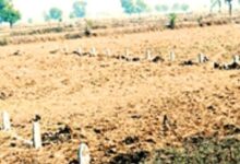 छत्तीसगढ़ सरकार ने जमीन की दरें निर्धारित की