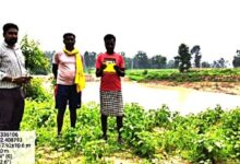 नवीन तालाब बना गांव की जीवनधारा