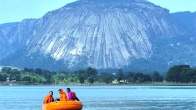 जशपुर जम्बूरी 2025: प्रकृति, संस्कृति और साहसिक रोमांच का अनोखा संगम