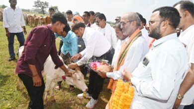 भागूटोला में घुमंतू पशुओं की सेवा, सुरक्षा और संरक्षण की मिसाल