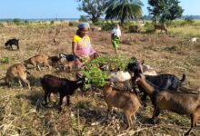 गरीबी को मात देकर आत्मनिर्भर बनी बुटकी