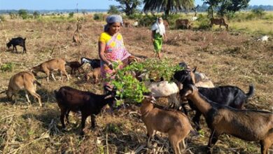 गरीबी को मात देकर आत्मनिर्भर बनी बुटकी