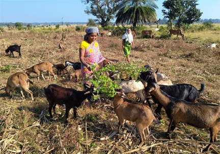 गरीबी को मात देकर आत्मनिर्भर बनी बुटकी
