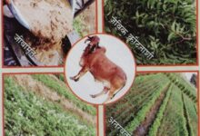 कृषि विश्वविद्यालय में प्राकृतिक खेती पर राष्ट्रीय संगोष्ठी कल