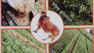 कृषि विश्वविद्यालय में प्राकृतिक खेती पर राष्ट्रीय संगोष्ठी कल