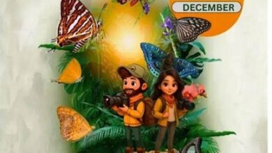 कांगेर घाटी में 5 से 7 दिसंबर तक होगा बटरफ्लाई मीट