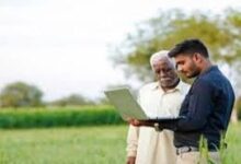 किसानों के लिए जरूरी खबर – जिनके खसरे एग्रीस्टेक पोर्टल आईडी में लिंक नहीं, वे समितियों में जाकर करवा सकते हैं अपडेट