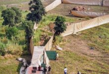 सेवा भाव और वन्य जीव संरक्षण का प्रतीक है देश का पहला हाई-टेक वन्य जीव कैप्चर अभियान : मुख्यमंत्री डॉ. यादव