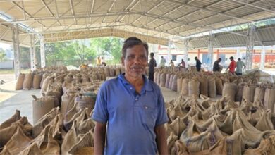 धान खरीदी तिहार सुचारू और पारदर्शी, भिट्ठी कला के किसानों ने जताया विश्वास