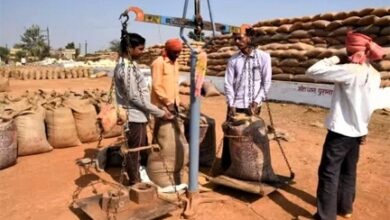 अब तक 17.24 लाख टोकन से 87 लाख टन धान की हो चुकी खरीदी अब तक 17.24 लाख टोकन से 87 लाख टन धान की हो चुकी खरीदी