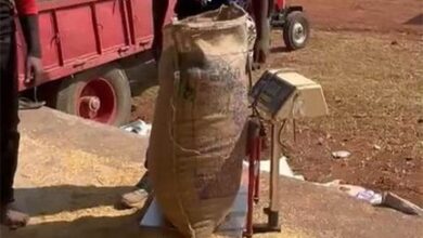 उपार्जन केंद्रों में प्रदेशभर में धान खरीदी सुचारू रूप से जारी