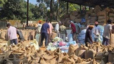 सरगुजा जिले में अब तक साढ़े 3 लाख क्विंटल से अधिक अधिक धान की खरीदी