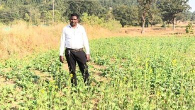 प्रधानमंत्री धन-धान्य कृषि योजना ने बदली किसानों की किस्मत