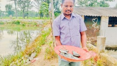 डबरी बनी खुशहाली की राह : किसान हिरमाराम की आमदनी हुई दोगुनी, सालाना बढ़ी एक लाख रुपये तक