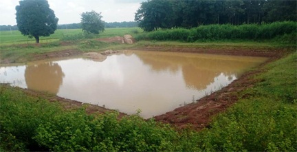 डबरी निर्माण से ग्रामीण आजीविका को मिल रही नई दिशा