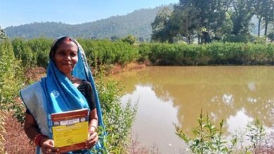 डबरी निर्माण से बदली सूरत कुमारी की किस्मत, खेती और मछलीपालन से बढ़ी आमदनी