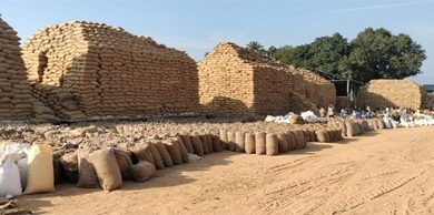 धान खरीदी का महाअभियान