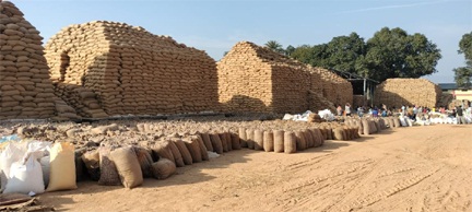 धान खरीदी का महाअभियान