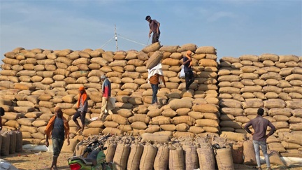 सरगुजा जिले में धान उपार्जन की तेज प्रगति, पारदर्शी व्यवस्था से किसानों को मिल रहा लाभ सरगुजा जिले में धान उपार्जन की तेज प्रगति, पारदर्शी व्यवस्था से किसानों को मिल रहा लाभ