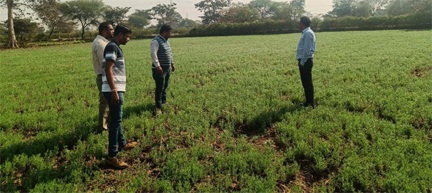 जल बचत से बढ़ी खुशहालीः रबी फसलों ने बदली धमतरी के किसानों की तस्वीर जल बचत से बढ़ी खुशहालीः रबी फसलों ने बदली धमतरी के किसानों की तस्वीर