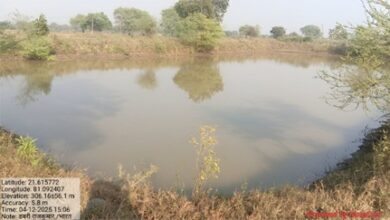 डबरी निर्माण से बढ़ा जल संरक्षण, ग्रामीणों के लिए खुल रहे आय के नए रास्ते डबरी निर्माण से बढ़ा जल संरक्षण, ग्रामीणों के लिए खुल रहे आय के नए रास्ते