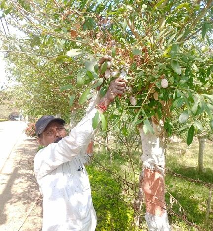 तसर पालन ने बदल दी जिंदगी – ग्राम सलोरा के किसान भरत राम केवट बने आत्मनिर्भर