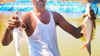 मछली पालन से बदली कृषक हड़मा कोड़ोपी की जिंदगी : प्रधानमंत्री धन धान्य योजना बनी नई उम्मीद