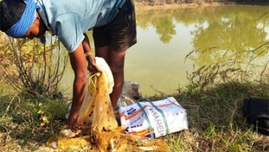 आजीविका डबरी : छोटे किसानों की आत्मनिर्भरता की नई राह आजीविका डबरी : छोटे किसानों की आत्मनिर्भरता की नई राह