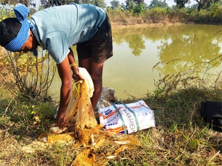 आजीविका डबरी : छोटे किसानों की आत्मनिर्भरता की नई राह आजीविका डबरी : छोटे किसानों की आत्मनिर्भरता की नई राह