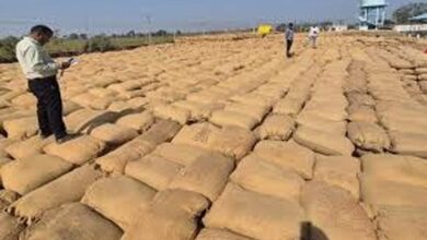 धान खरीदी में लापरवाही पर प्रशासन की सख्त कार्रवाई