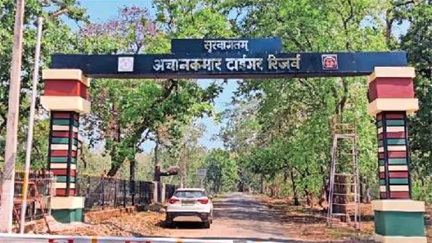 अचानकमार टाइगर रिजर्व में सुरक्षा में सेंध, ट्रैप कैमरों से कीमती डेटा चोरी