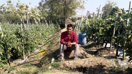 राष्ट्रीय बागवानी मिशन से बदली खेती की तस्वीर राष्ट्रीय बागवानी मिशन से बदली खेती की तस्वीर