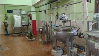 वन विभाग का नवाचार : बस्तर की इमली चटनी को राष्ट्रीय पहचान दिलाएंगी सुकमा की महिलाएं