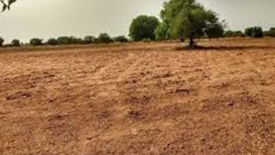 चार जिलों में संशोधित गाइडलाइन दरें 27 फरवरी से लागू