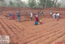 जल संरक्षण से आजीविका तक: छत्तीसगढ़ में ‘आजीविका डबरी’ अभियान बना ग्रामीण बदलाव की धुरी