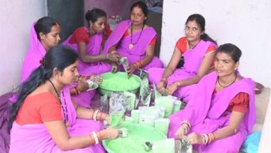 इस बार प्राकृतिक रंगों से रंगीन होगी होली : स्व सहायता समूह की महिलाएं कर रही है प्राकृतिक गुलाल का निर्माण