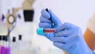 उच्च शिक्षा विभाग में प्रयोगशाला तकनीशियनों की नियुक्ति, चयनित अभ्यर्थियों को मिला पदस्थापना आदेश उच्च शिक्षा विभाग में प्रयोगशाला तकनीशियनों की नियुक्ति, चयनित अभ्यर्थियों को मिला पदस्थापना आदेश