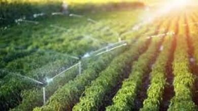 केंदा व्यपवर्तन और सल्का नवागांव उद्वहन सिंचाई योजना के लिए 7.15 करोड़ रुपये स्वीकृत