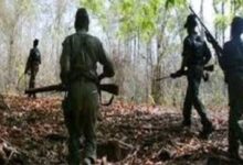 बीजापुर में दो वर्दीधारी माओवादी ढेर